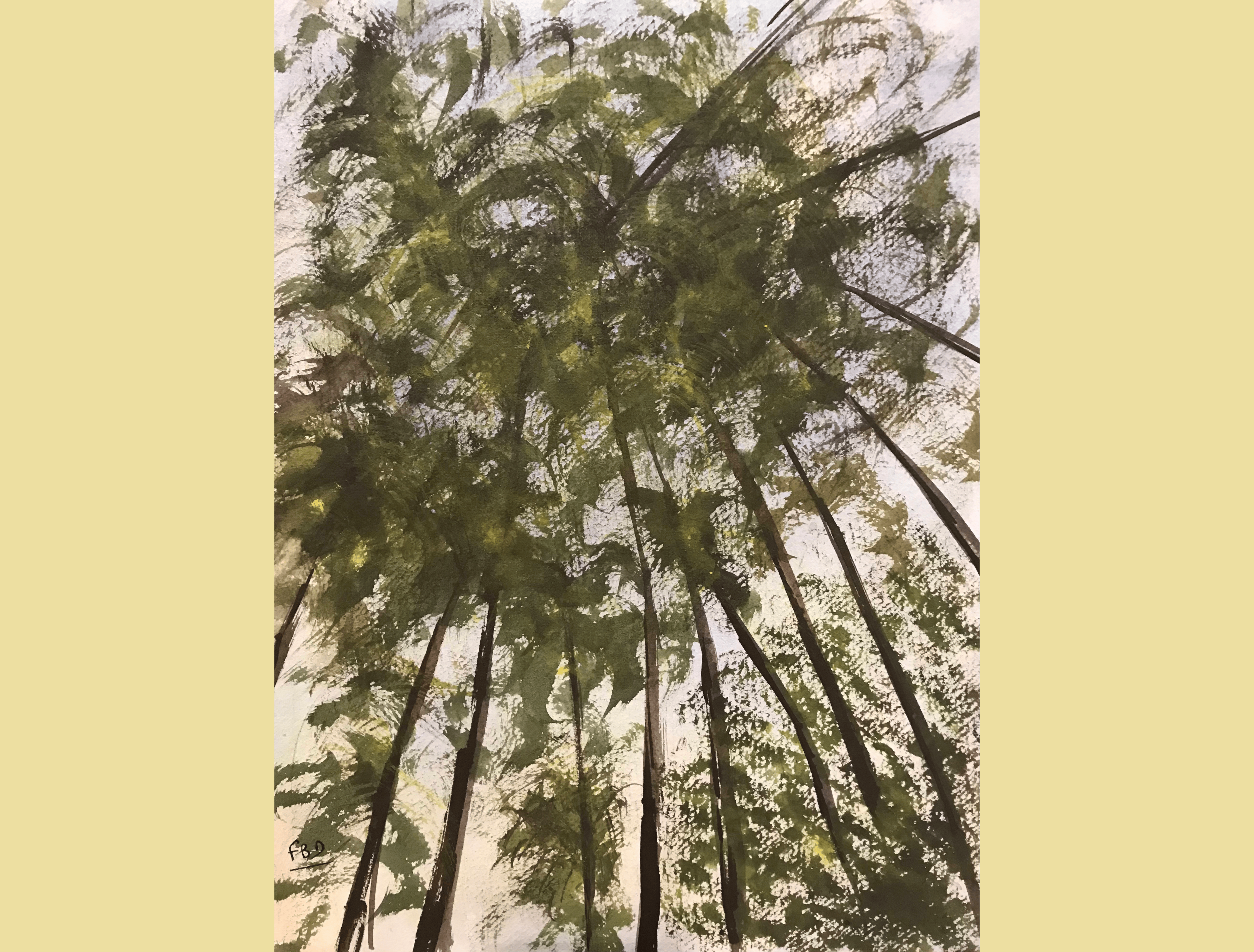 aquarelle arbres de la reunion avril 2020